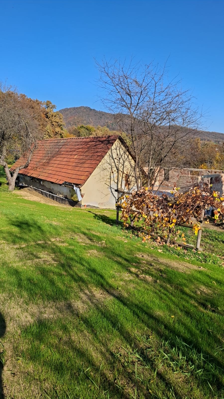 Wirtschaftsgebäude mit Herbstlandschaft