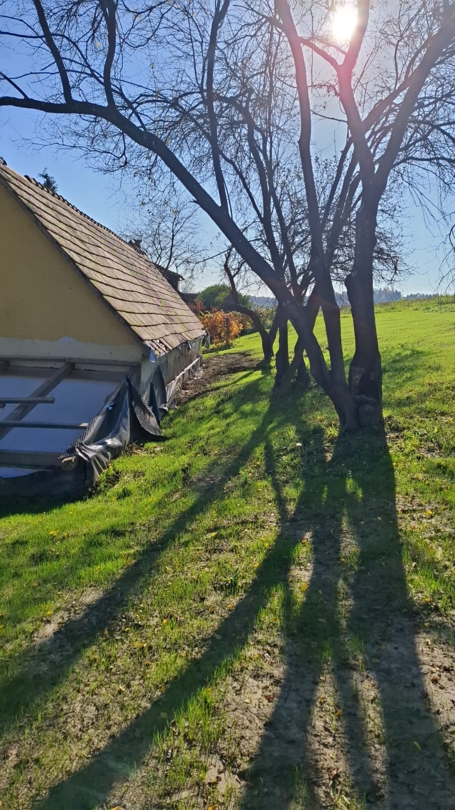 Gebäude Seitenansicht mit Obstbäumen und Wiese