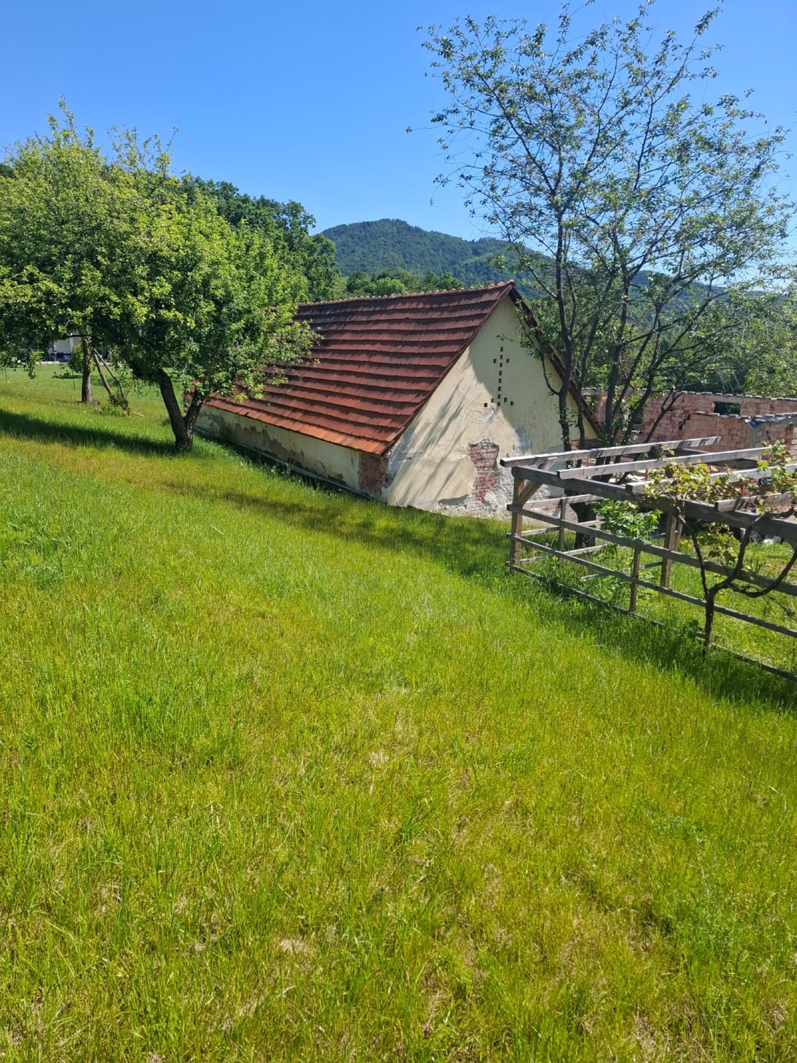 Wirtschaftsgebäude Seitenansicht mit Bergpanorama